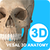维萨里3D解剖下载最新版（暂无下载）_维萨里3D解剖app免费下载安装