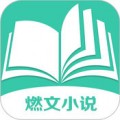 燃文小说下载最新版（暂无下载）_燃文小说app免费下载安装