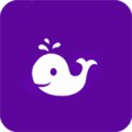 芝麻鲸淘下载最新版（暂无下载）_芝麻鲸淘app免费下载安装