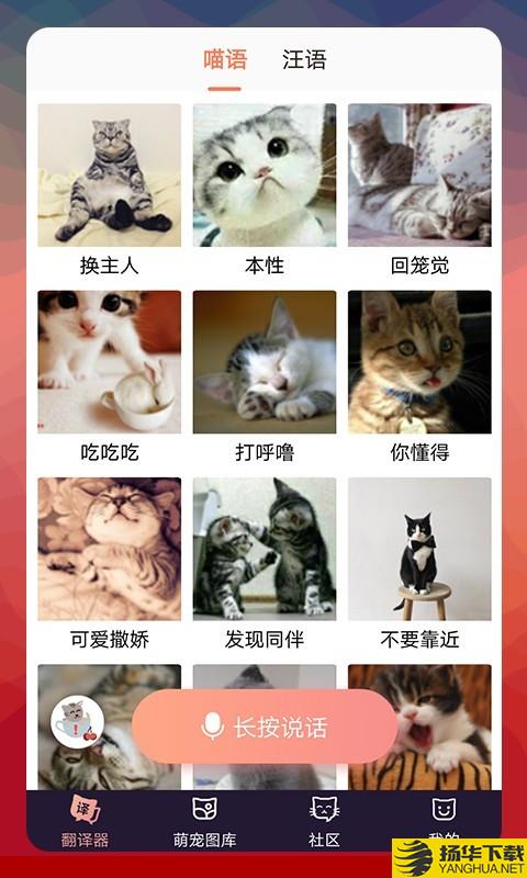猫语翻译器下载最新版（暂无下载）_猫语翻译器app免费下载安装