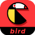 鸟窝视频下载最新版_鸟窝视频app免费下载安装