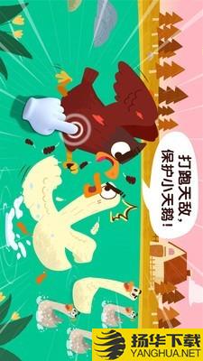 宝宝鸟类认知下载最新版（暂无下载）_宝宝鸟类认知app免费下载安装