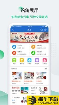 中国信鸽信息网下载最新版（暂无下载）_中国信鸽信息网app免费下载安装