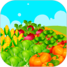 多多菜园下载最新版（暂无下载）_多多菜园app免费下载安装