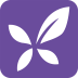 紫色丁香园下载最新版（暂无下载）_紫色丁香园app免费下载安装