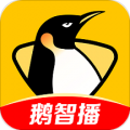 企鹅体育下载最新版（暂无下载）_企鹅体育app免费下载安装