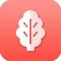 菠菜管理下载最新版（暂无下载）_菠菜管理app免费下载安装