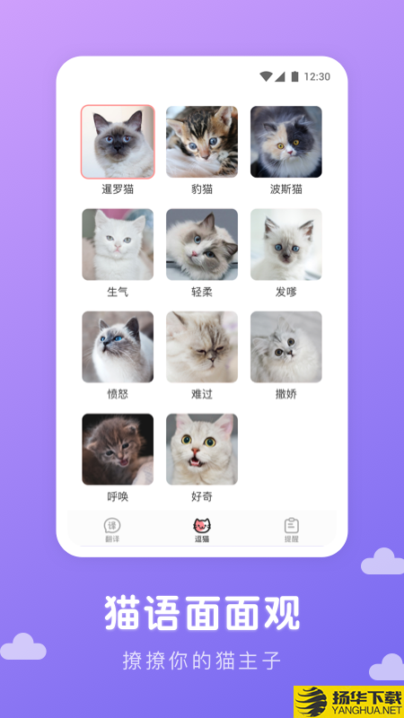 猫语翻译君下载最新版（暂无下载）_猫语翻译君app免费下载安装