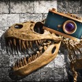 恐龙照片编辑器下载最新版（暂无下载）_恐龙照片编辑器app免费下载安装