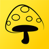 蘑菇丁下载最新版（暂无下载）_蘑菇丁app免费下载安装