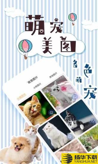 人猫翻译交流器下载最新版（暂无下载）_人猫翻译交流器app免费下载安装