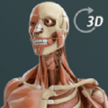 人体3D立体解剖下载最新版（暂无下载）_人体3D立体解剖app免费下载安装