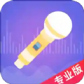 语聊音频变声器下载最新版_语聊音频变声器app免费下载安装