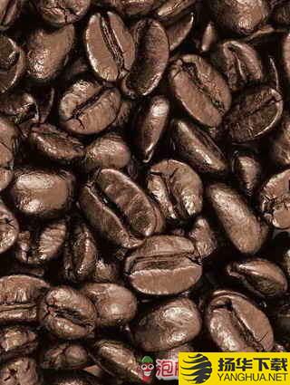 咖啡豆下载最新版（暂无下载）_咖啡豆app免费下载安装