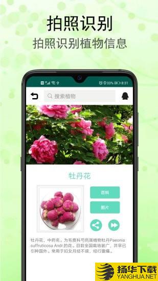 识花草下载最新版（暂无下载）_识花草app免费下载安装