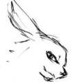 兔兔漫画下载最新版（暂无下载）_兔兔漫画app免费下载安装
