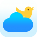 喜鹊天气下载最新版（暂无下载）_喜鹊天气app免费下载安装