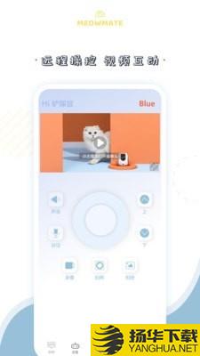 MeowMate下载最新版（暂无下载）_MeowMateapp免费下载安装