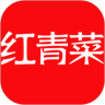红青菜下载最新版（暂无下载）_红青菜app免费下载安装