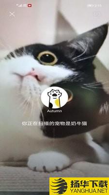 握爪扫萌宠下载最新版（暂无下载）_握爪扫萌宠app免费下载安装