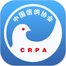 中国信鸽协会下载最新版_中国信鸽协会app免费下载安装