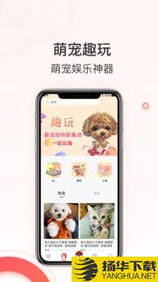 相宠下载最新版（暂无下载）_相宠app免费下载安装