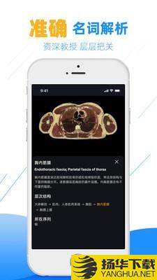 影像学图谱下载最新版（暂无下载）_影像学图谱app免费下载安装