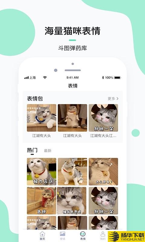 每日一猫下载最新版（暂无下载）_每日一猫app免费下载安装