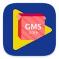 GMS安装器下载最新版（暂无下载）_GMS安装器app免费下载安装