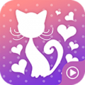 速猫漫影下载最新版（暂无下载）_速猫漫影app免费下载安装