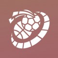 伯乐体育下载最新版（暂无下载）_伯乐体育app免费下载安装