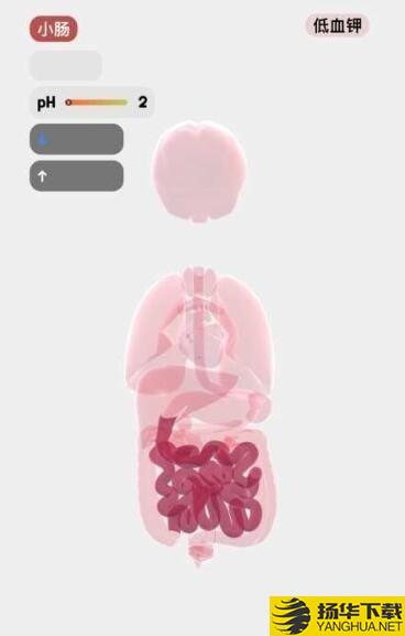 医学人体模拟器下载最新版（暂无下载）_医学人体模拟器app免费下载安装