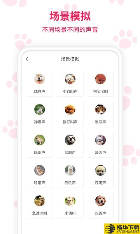 人猫人狗交流师下载最新版（暂无下载）_人猫人狗交流师app免费下载安装