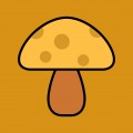 蘑菇小园下载最新版（暂无下载）_蘑菇小园app免费下载安装