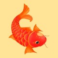 小红鱼下载最新版_小红鱼app免费下载安装