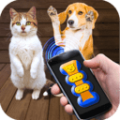 我的猫猫狗狗翻译器下载最新版（暂无下载）_我的猫猫狗狗翻译器app免费下载安装
