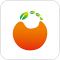 橙子网购助手下载最新版（暂无下载）_橙子网购助手app免费下载安装