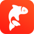 飞鱼优品下载最新版（暂无下载）_飞鱼优品app免费下载安装