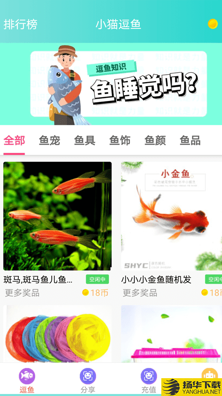 小貓逗魚