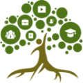 职业树下载最新版（暂无下载）_职业树app免费下载安装