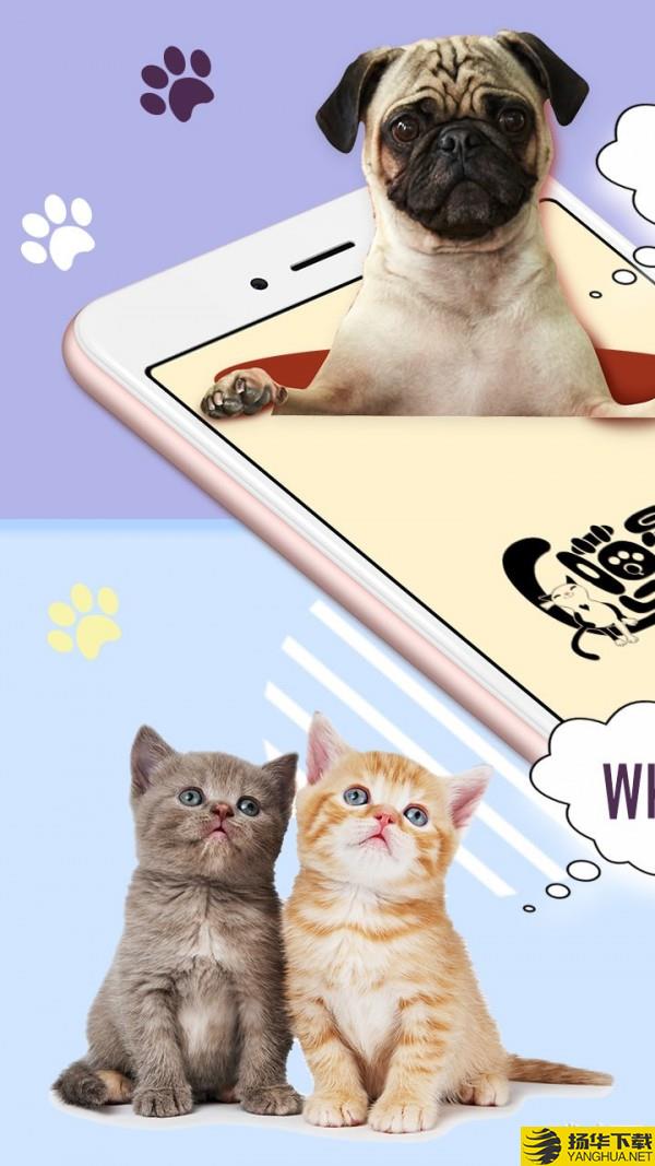 猫狗语翻译器下载最新版（暂无下载）_猫狗语翻译器app免费下载安装