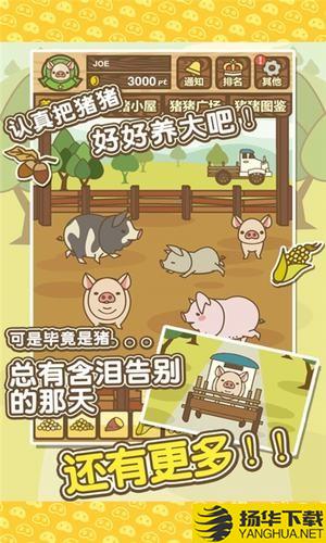 养猪分红游戏下载最新版（暂无下载）_养猪分红游戏app免费下载安装