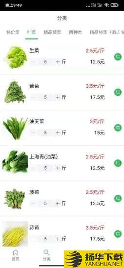 華盛蔬菜
