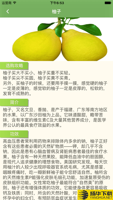 爱吃水果下载最新版（暂无下载）_爱吃水果app免费下载安装