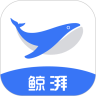 鲸湃下载最新版（暂无下载）_鲸湃app免费下载安装