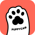 puppycam下载最新版（暂无下载）_puppycamapp免费下载安装