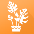 植物品鉴下载最新版（暂无下载）_植物品鉴app免费下载安装