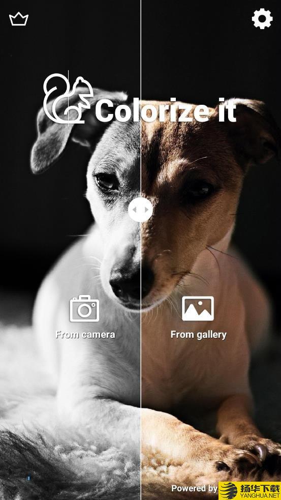 ColorizeIt下载最新版（暂无下载）_ColorizeItapp免费下载安装