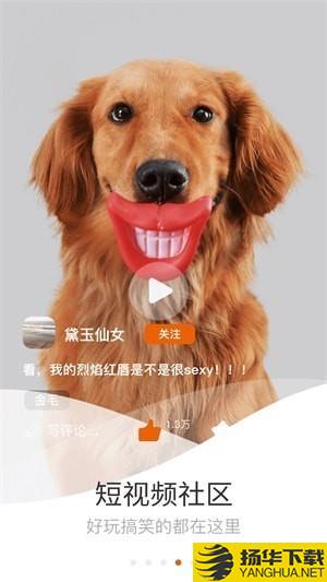 它嗅寵物app下載