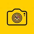饮食相机下载最新版（暂无下载）_饮食相机app免费下载安装
